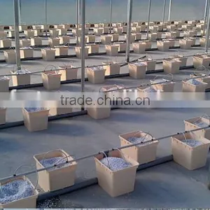 High Quality PP PE Dutch Buckets for Hydroponic Systems thumbnail-6