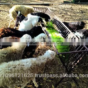 StarMax Barley Fodder / Fodder / Fodder System thumbnail-2