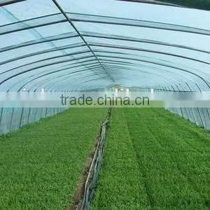 Film Single-span Sunlight Greenhouse thumbnail-1