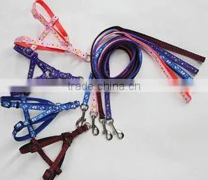 Pet Leash and Straps thumbnail-1