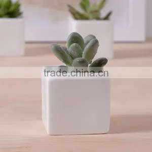 Indoor 2 Inch Small Rectangular White Ceramic Planters for Succulents thumbnail-1
