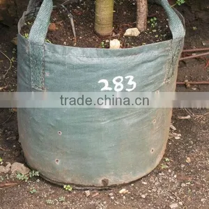 Woven Planter Bags thumbnail-1