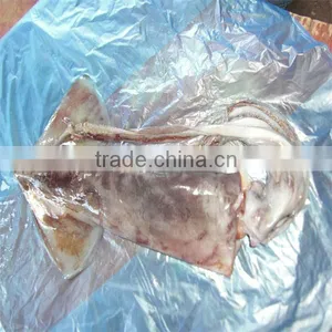 Squid/frozen Seafood Importers thumbnail-1