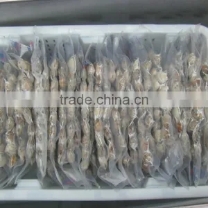 Raw Frozen Short Necked Clam thumbnail-2