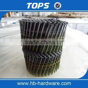 Galvanized Twisted/Ring Shank Coil Nails thumbnail-4