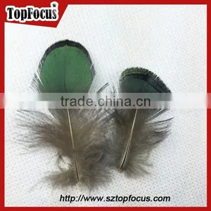 Carnival Decorate Green Loose Lady Amherst Pheasant Feathers for Sale thumbnail-2
