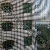 Window Screen thumbnail-1