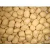 Blanched Peanut Round thumbnail-1