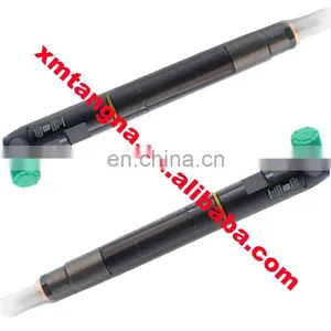 Common Rail Fuel EJBR04601D Injector thumbnail-1