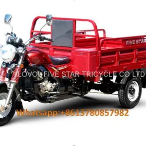 Gasoline Tricycle Cargo Loader Lovol Three Wheeler Mali Ethiopia Ghana Bukina Faso Tanzania Kenya Senegal Togo Benin Nigeira Mauritania Angola Burundi Chad Cameroon C ô te D'Ivoire Gabon Guinea Mozambique Rwanda Congo Uganda Zimbabwe thumbnail-2