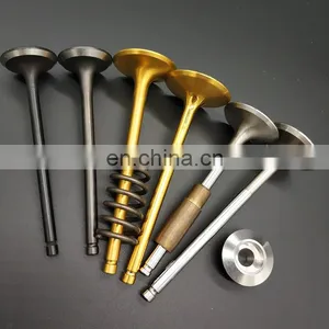 Luxury Peak Performance Custom Logo Engine Valve For BMW 316i E30 E36 M40B16 M40 B16 Racing Titanium Retainers thumbnail-6