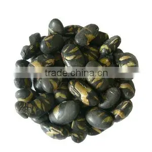 Organic Roasted Black Bean thumbnail-1