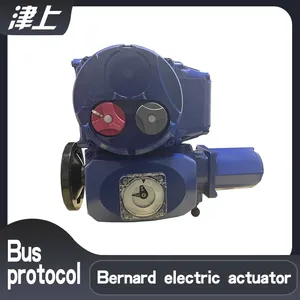 Angle Stroke Electric Actuator ASP Network Remote Control Adjustment thumbnail-1
