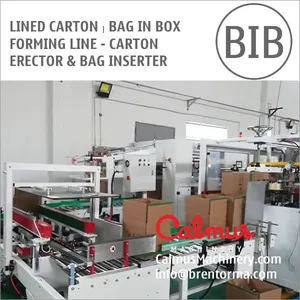 Case Erector and Bag Inserter For Forming Lined Cartons thumbnail-1