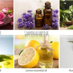 10-30L Lemon Essential Oil Distillation Equipment thumbnail-3