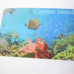 Souvenir Promotional Gifts 3D Lenticular Fridge Magnet thumbnail-3