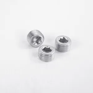 304 Stainless Steel Taper Thread Hexagon Socket Plug (Model 4TN), 1/8