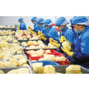 Industrial Factory Pineapple Juice Canned Pineapple Production for Baking and Cooking thumbnail-4