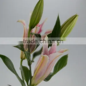 Fresh Sorbonne Wedding Decoration Lily Flower Bouquet thumbnail-2