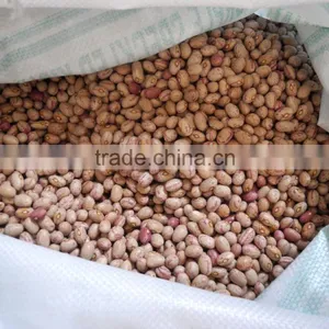 Kidney Bean thumbnail-4