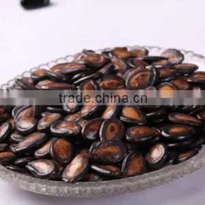 Japanese Melon Seeds thumbnail-1