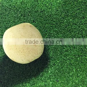 Aritificial Grass & Artificial Turf for Playgrounds thumbnail-4
