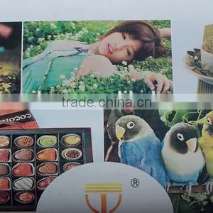 China Best Plastic Film Flexographic Printing Machine ,bag Flexo Printing Machine thumbnail-3