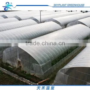 Single-span Greenhouse for Vegetables, Plastic Flim Greenhouse, Low Cost thumbnail-1