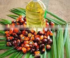 Refined Palm Oil thumbnail-2