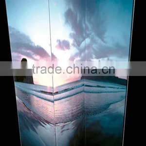 Canvas Screens for Home Decor thumbnail-1