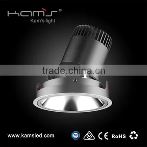 Whosale High Power 30W Dimmable COB LED Downlight for Hotel thumbnail-1