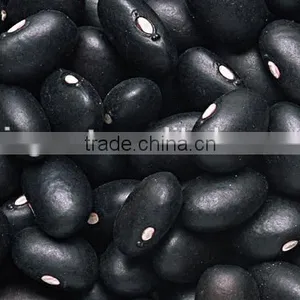 New Crop Kidney Beans, Black Beans With High Quality for Sale thumbnail-3