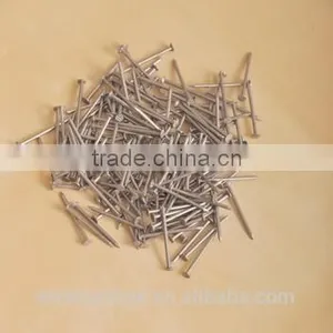 Black Common Iron Nail Wire Nail/Common Iron Wire Nail thumbnail-1