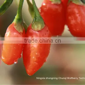 Ningxia 2016 Wolfberry/goji/gojiberry in Bulk, Dried Goji Berry, Organic Goji Berry thumbnail-2
