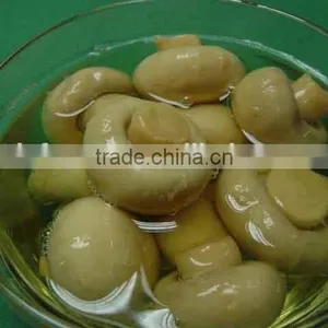 China Canned Mushrooms/canned Champignon/canned Shiitake Mushroom thumbnail-6