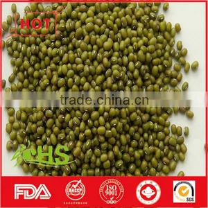 High Quality Green Mung Bean for Sale thumbnail-3