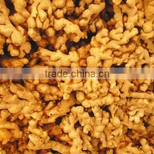 Ginger, Fresh Ginger, Ginger Viet Nam 2014 thumbnail-3