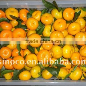 Nanfeng Baby Mandarin Orange in 10kg Box thumbnail-1