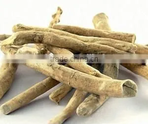 GMP Natural High Quality Withania Somnifera Extract/Ashwagandha Extract thumbnail-2