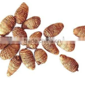 Taro thumbnail-1