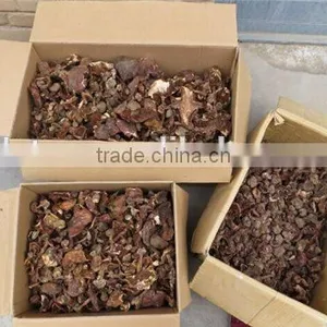 Green Healthy Dried Smooth Mushroom for Sale thumbnail-6