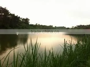 Hot Sales Solar Aeration System for Fish Farm thumbnail-4
