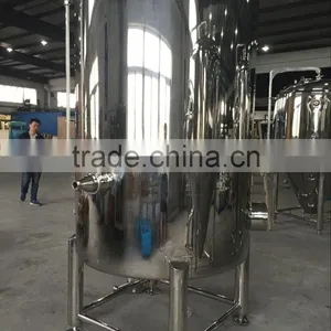 Stainless Steel Bright Beer Tank With Insulation thumbnail-1