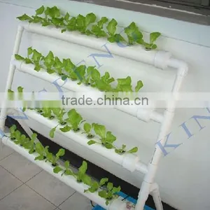 Agricultural Hydroponic Lettuce Cultivation Greenhouse thumbnail-2