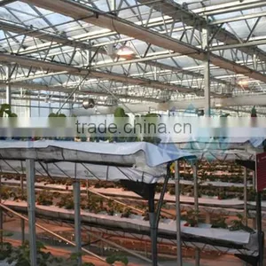 Strawberry Plastic Film Greenhouse thumbnail-1