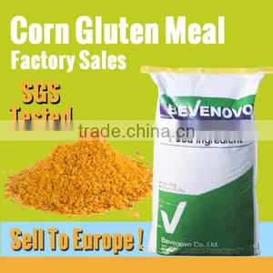 Competitive Corn Gluten Price 60% 65% Protein thumbnail-1