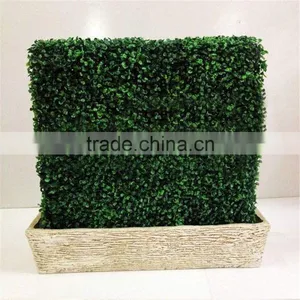 2017 SJ0032008 Hot Sale Artificial Boxwood Hedges for Outdoor UV Plastic Boxwood Hedges thumbnail-1