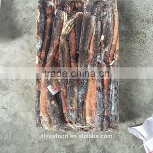 SQUID WHOLE of Illex Squid thumbnail-1