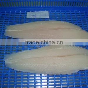 Pangasius Fish White Meat Fillet ( Tra - Basa) thumbnail-1