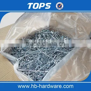 China Corrugated Umbrella Roofing Nails thumbnail-4